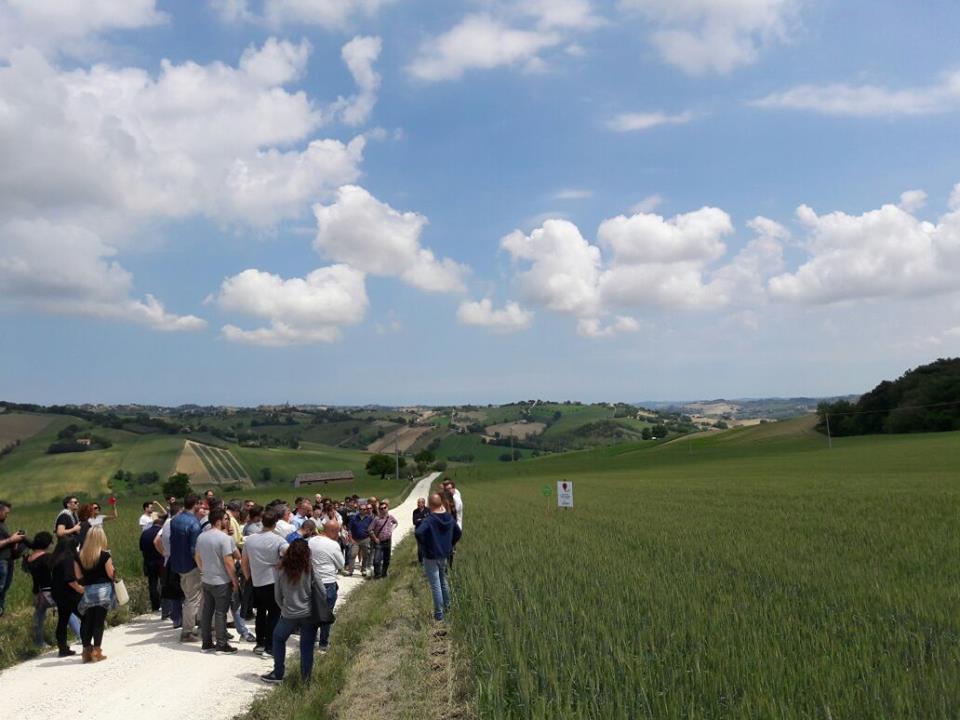 Farina al Mulino Mariani di Barbara